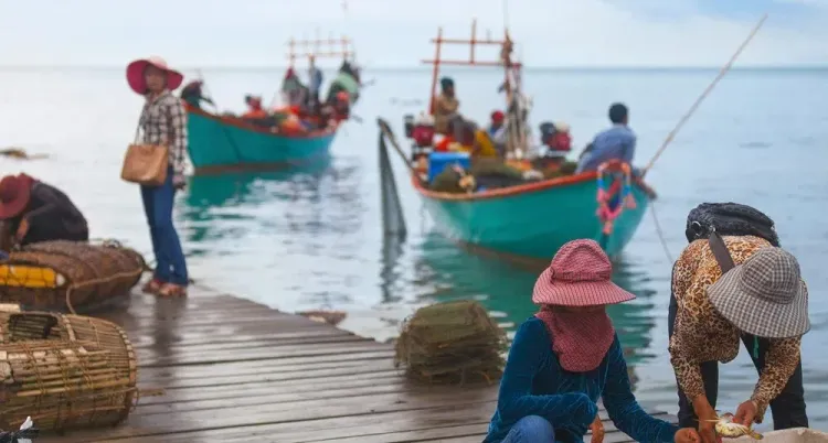 Attractive as an investment destination