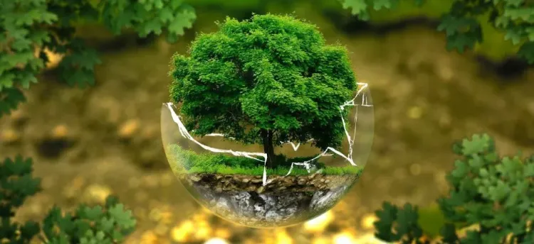 COP26: Big promises, but meeting targets key