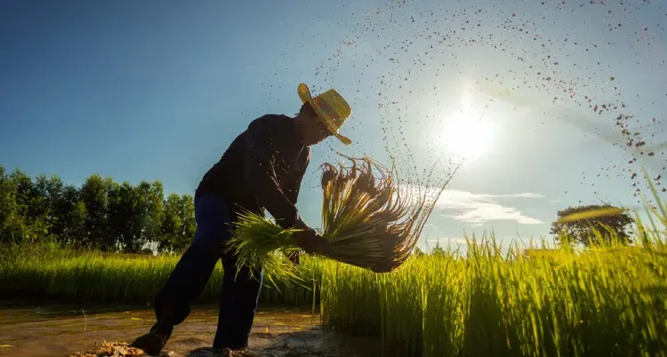 Wealth of natural resources