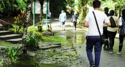 A Mix of History and Nature